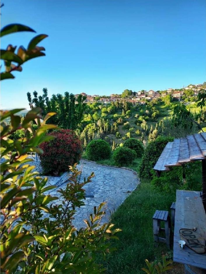 Agnanti Zitsas Hotel Zewnętrze zdjęcie